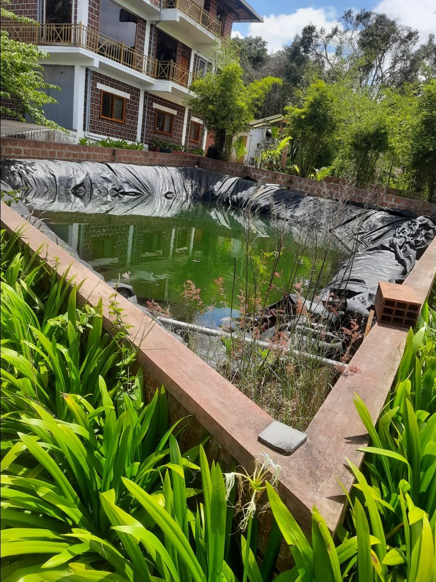 Pond View